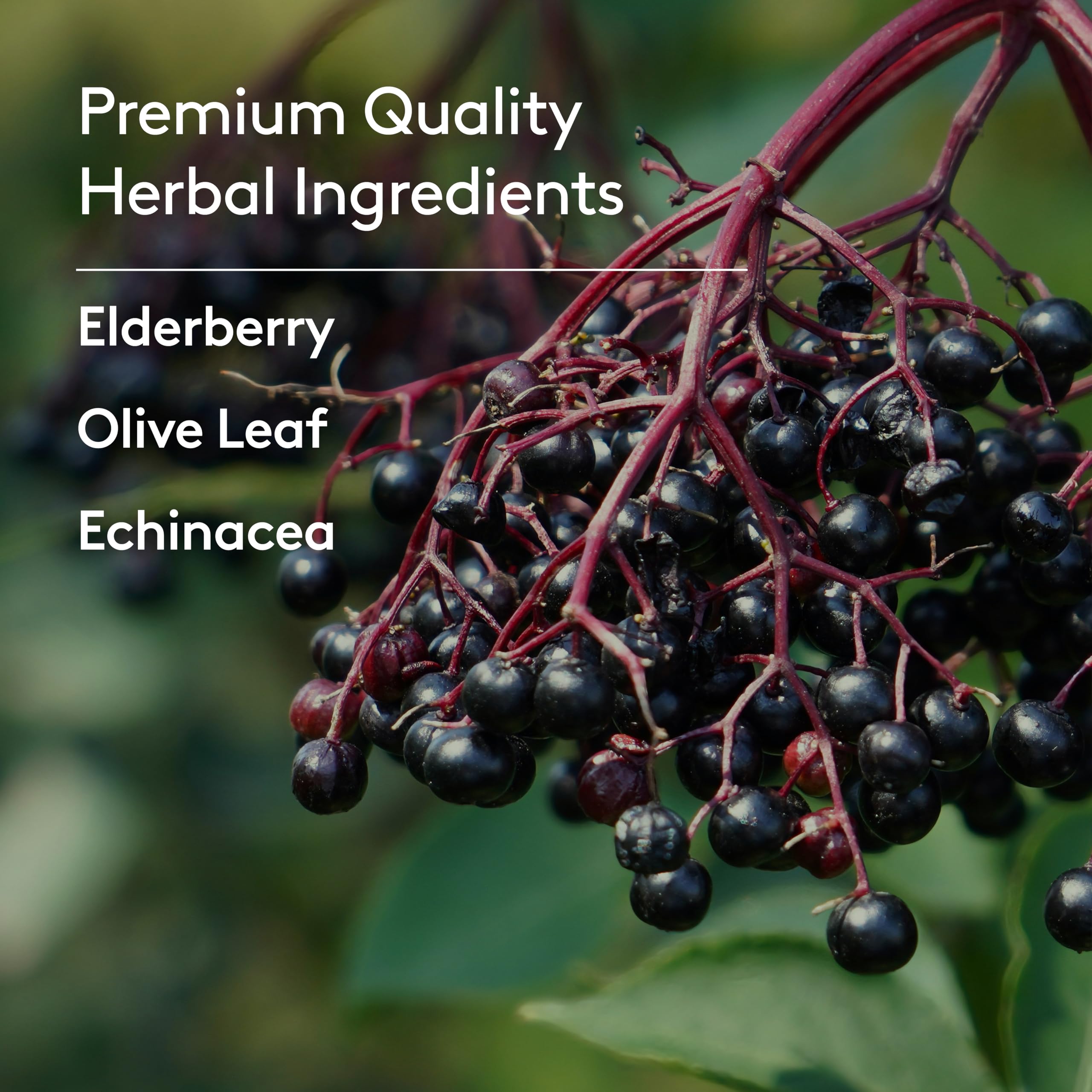 Emballage vert Harker Herbals, packaging pratique et discret