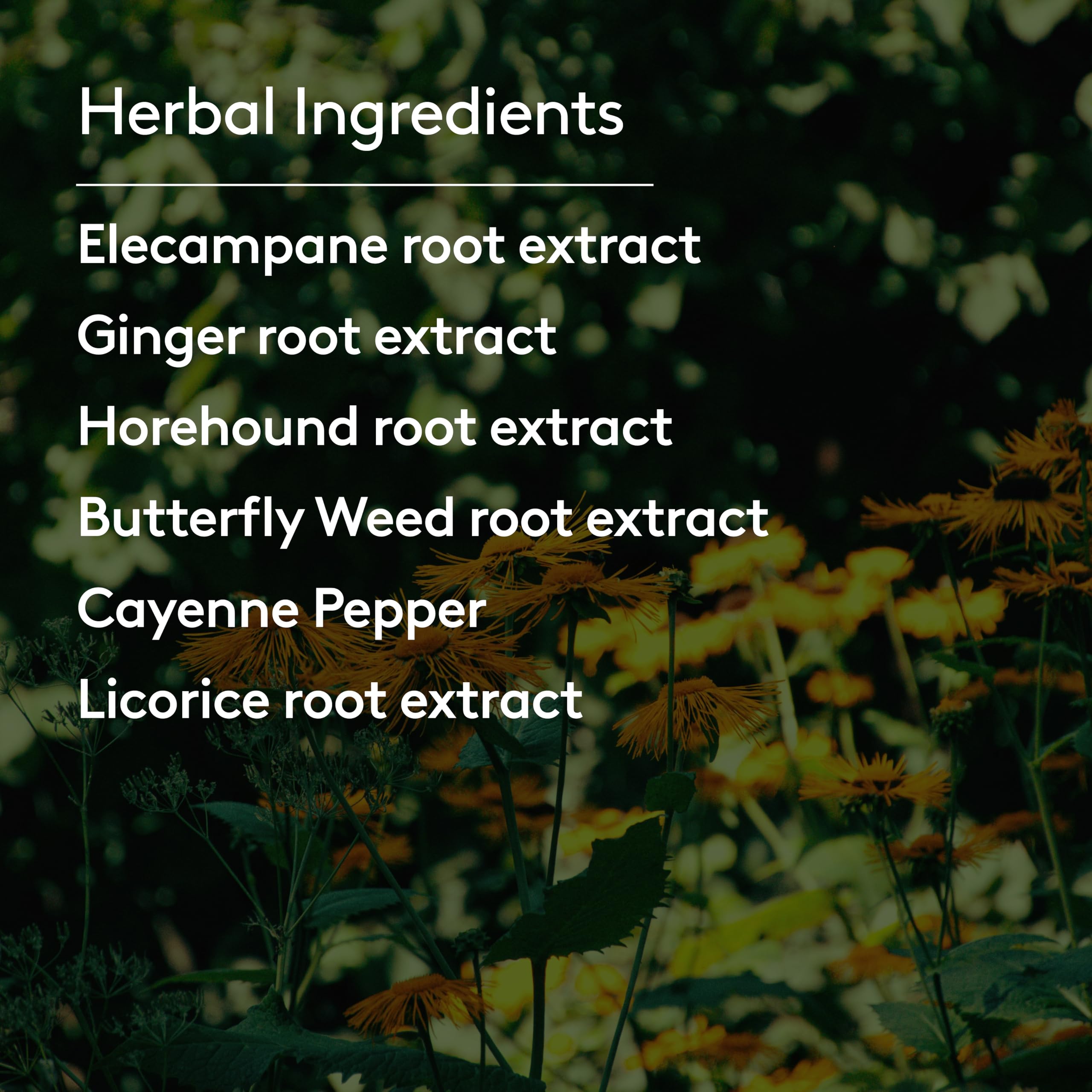 Harker Herbals Usage-quotidien-hiver, idée de routine naturelle pendant les mois froids.