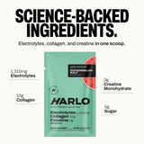 Harlo Electrolytes – sachets Ananas-Sel, goût vif pour soutenir l’effort prolongé.