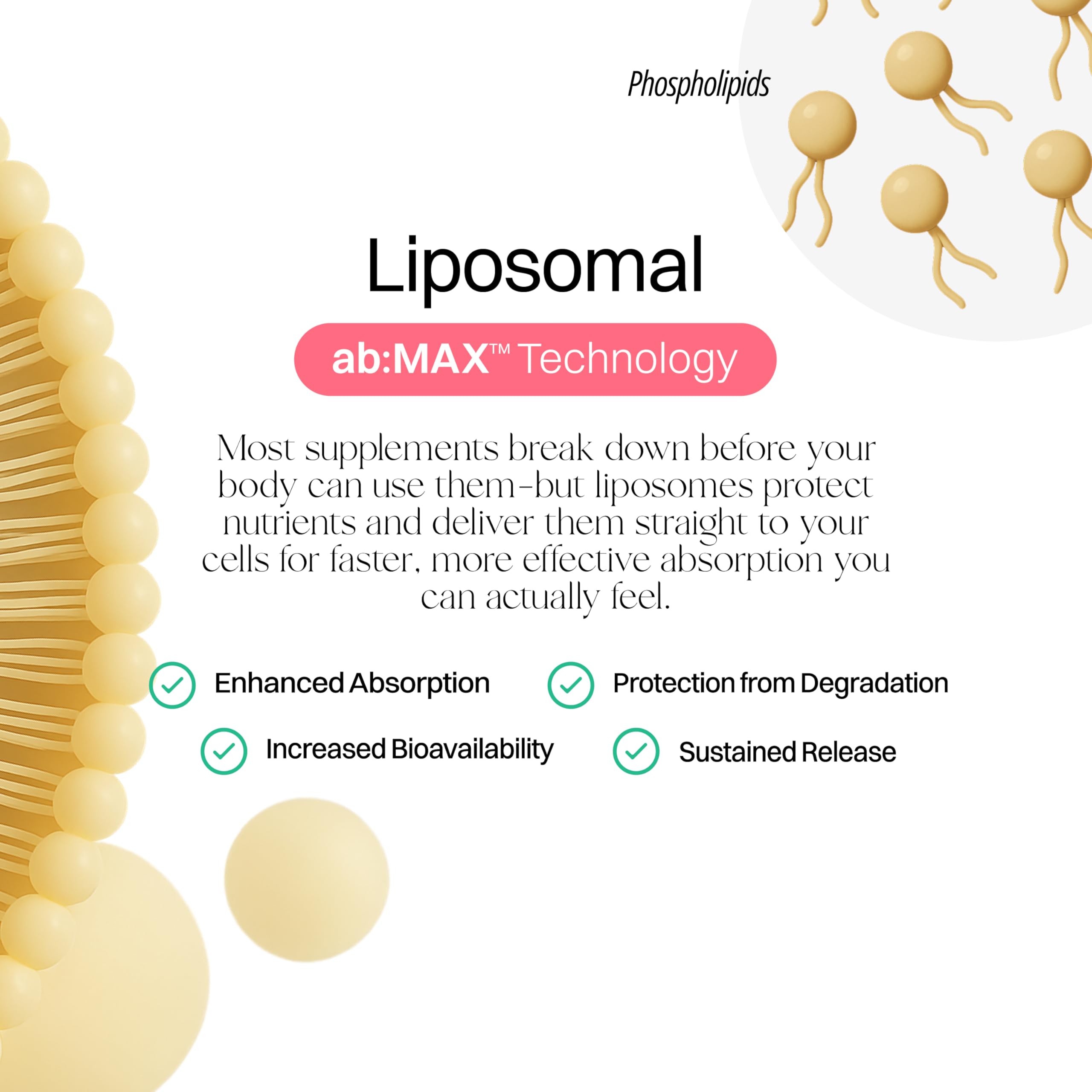 Haroutine procédé CryoTEM et liposomes de haute qualité prouvés.