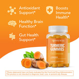 Ingrédients vegan et non-GMO HAVASU Curcuma Gingembre pour une routine saine