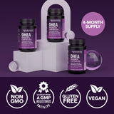 DHEA Havasu – formulation végane et sans allergènes.