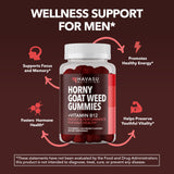 Étiquette HAVASU NUTRITION épimède B12 framboise - informations claires.