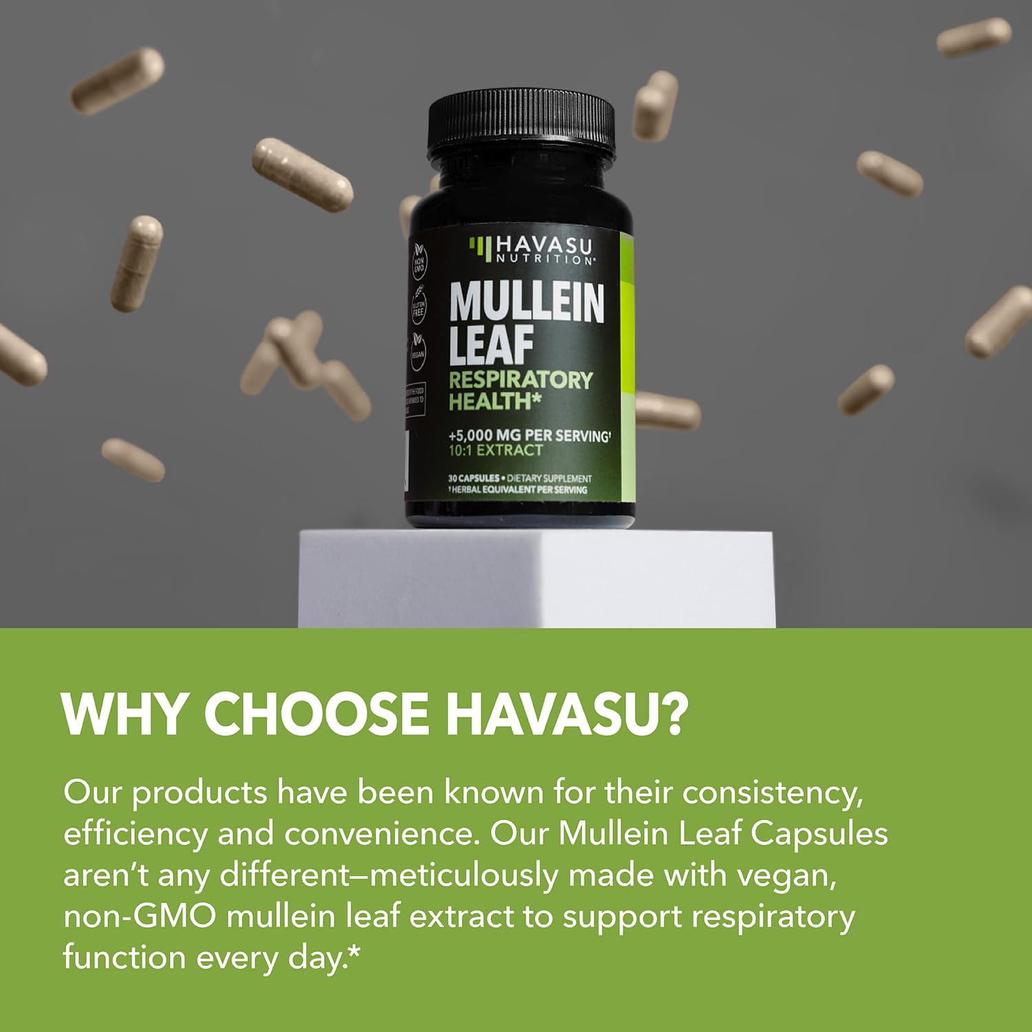 Zoom sur l’extrait-feuille-bouillon-blanc dans les capsules HAVASU NUTRITION.