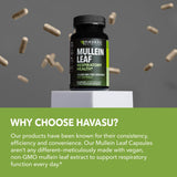Zoom sur l’extrait-feuille-bouillon-blanc dans les capsules HAVASU NUTRITION.