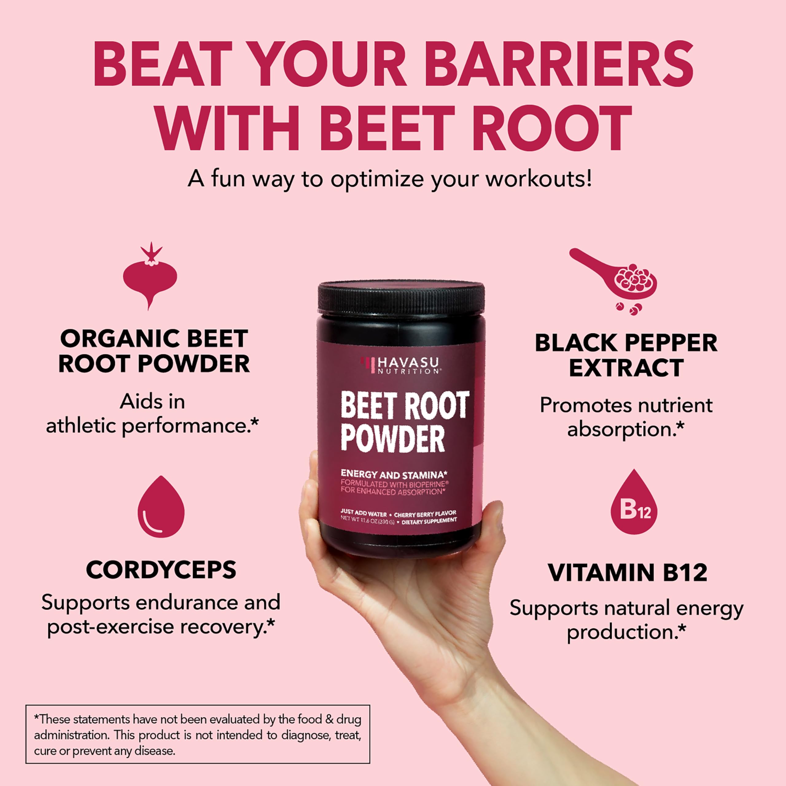 Poudre HAVASU Nutrition avec vitamine B12 pour énergie quotidienne
