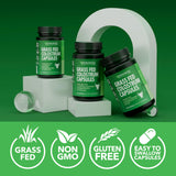 1000 mg par service HAVASU NUTRITION, colostrum bovin nourri à l’herbe pour un soutien quotidien.