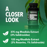 Doseur Havasu Nutrition Rhodiola Rosea facilitant les prises régulières.