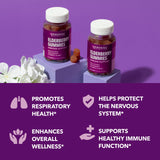 Fabrication certifiée GMP de Sambucus HAVASU NUTRITION.