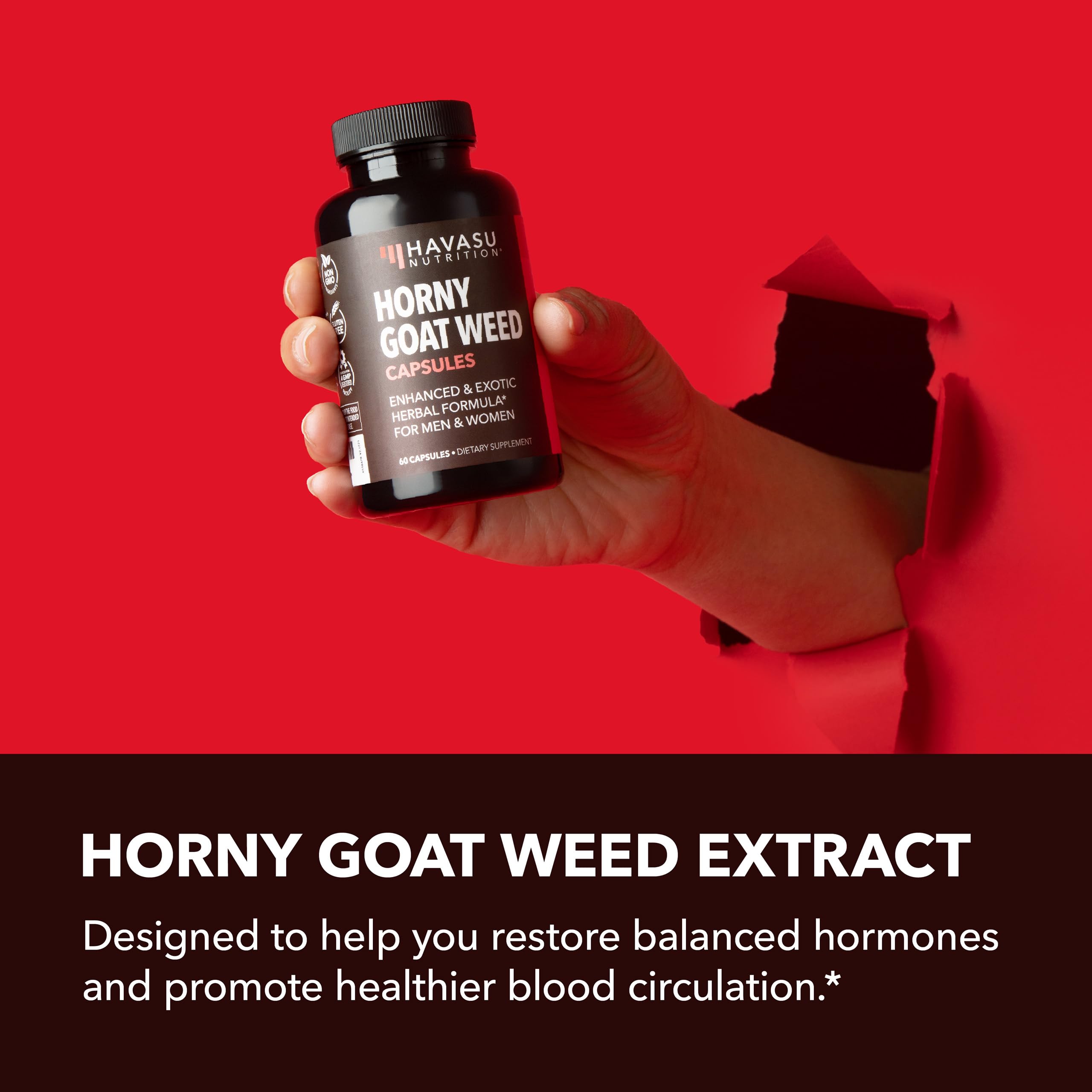 Saw Palmetto HAVASU NUTRITION extrait et bien-être