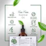 HBNO huile pour aromathérapie sur diffuseur, ambiance rafraîchissante.