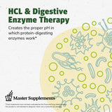Absorption accrue des protéines et acides aminés avec HCL-Stim.