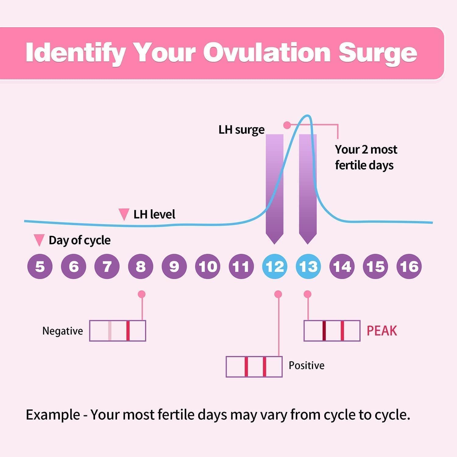 HEAL-CHECK lot économique de 50 tests d’ovulation pour suivi régulier.