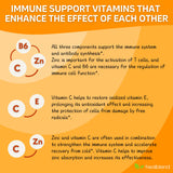 healblend 10 en 1 – extrait d'échinacée, soutien immunitaire naturel.