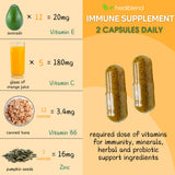 healblend 10 en 1 – zinc, minéral utile pour l'immunité.