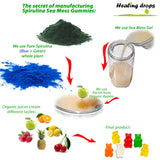 HEALING DROPS gommes spiruline-sea-moss-texture, texture agréable facilitant l'ingestion.
