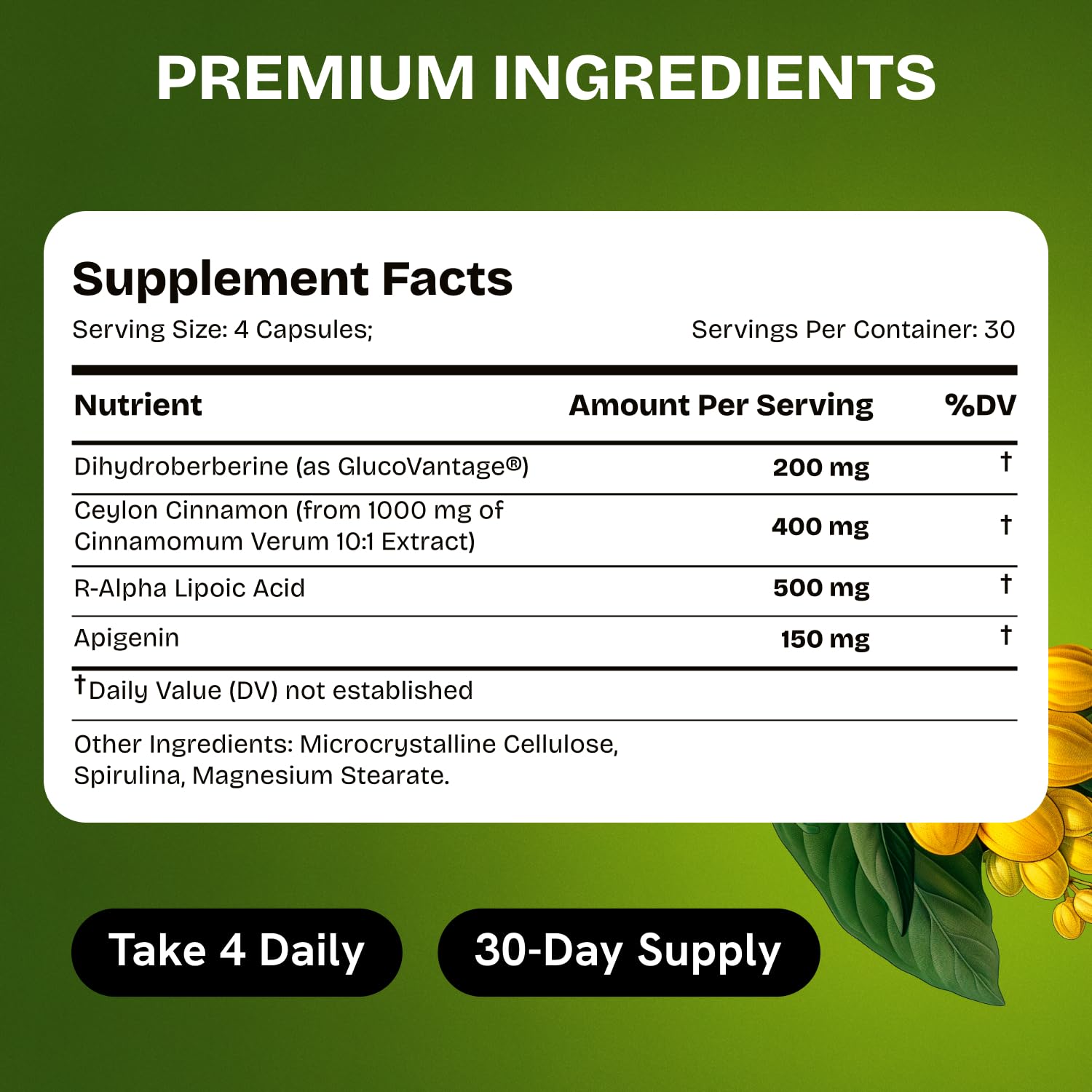 HealMeal Dihydroberberberine – acide lipoïque présent pour le bien‑être quotidien