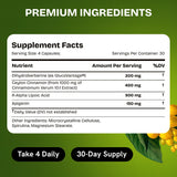 HealMeal Dihydroberberberine – acide lipoïque présent pour le bien‑être quotidien
