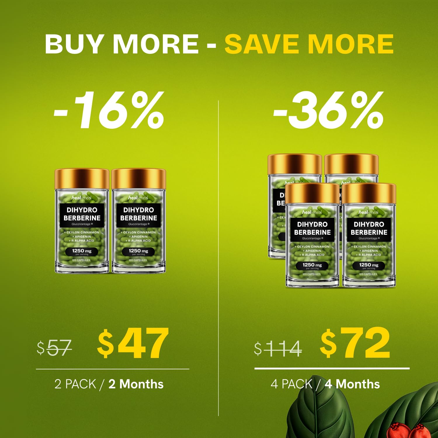 HealMeal Dihydroberberberine – cannelle ceylon intégrée pour le parfum et les usages