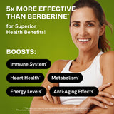 HealMeal Dihydroberberberine – étiquette ingrédients transparente et utile