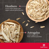 Health Concerns Astra 8: astragale et ginseng, ingrédients clés.