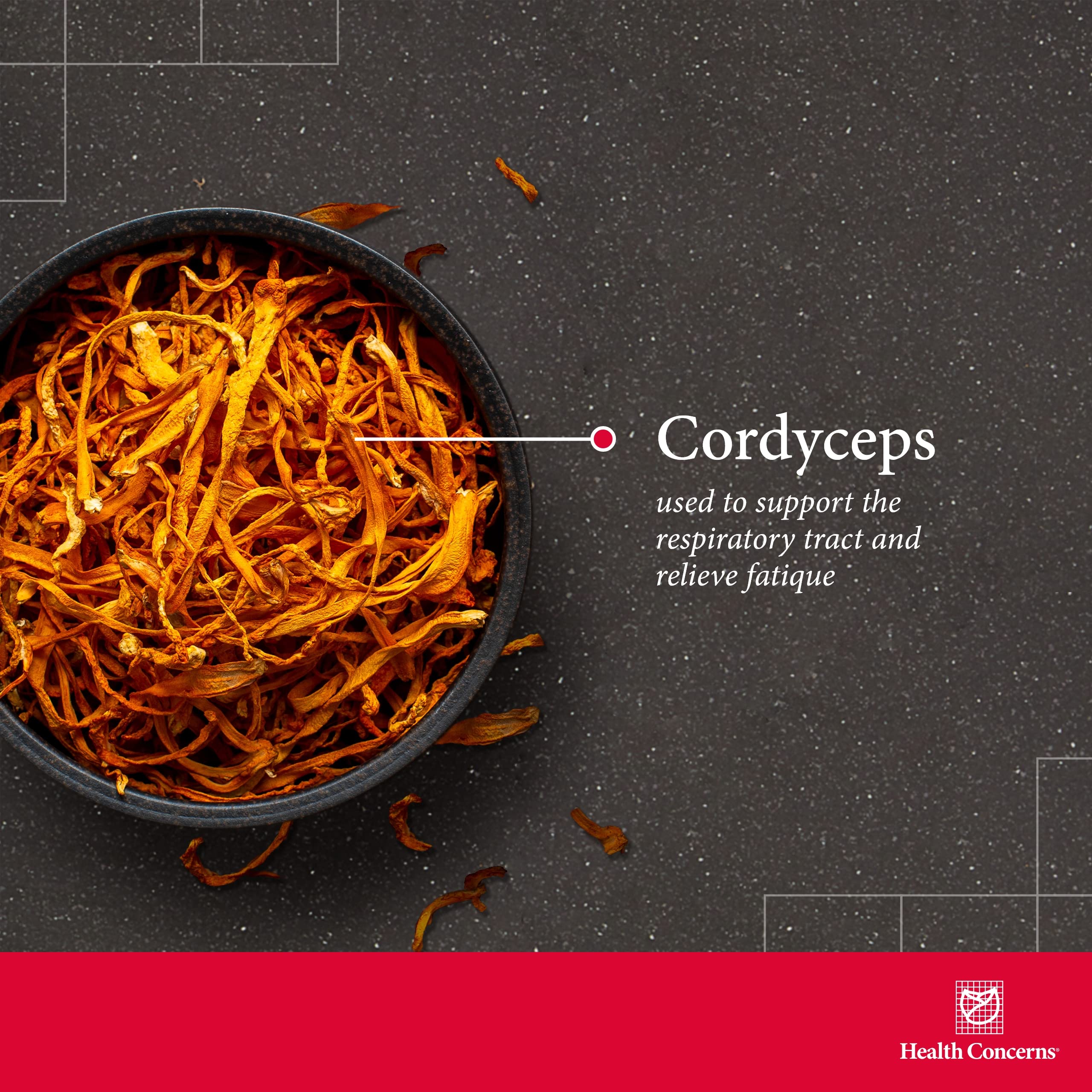Health Concerns Cordyceps PS – Étiquette claire aidant à comprendre les bénéfices potentiels.
