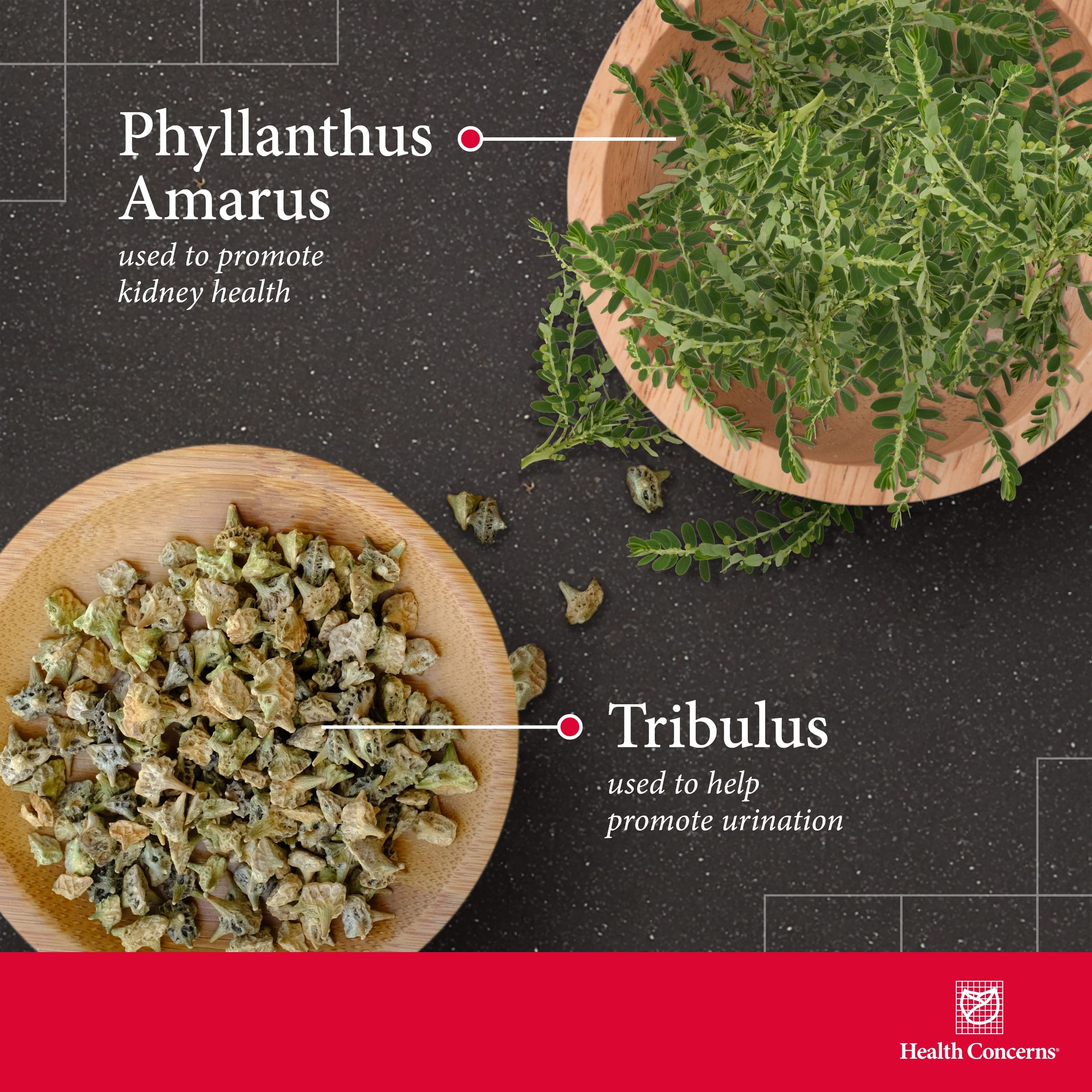 Health Concerns Stone Clearing — phyllanthus, gardenia et pivoine, ingrédients clés pour l'équilibre urinaire.