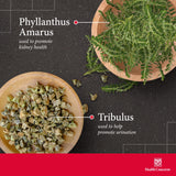 Health Concerns Stone Clearing — phyllanthus, gardenia et pivoine, ingrédients clés pour l'équilibre urinaire.