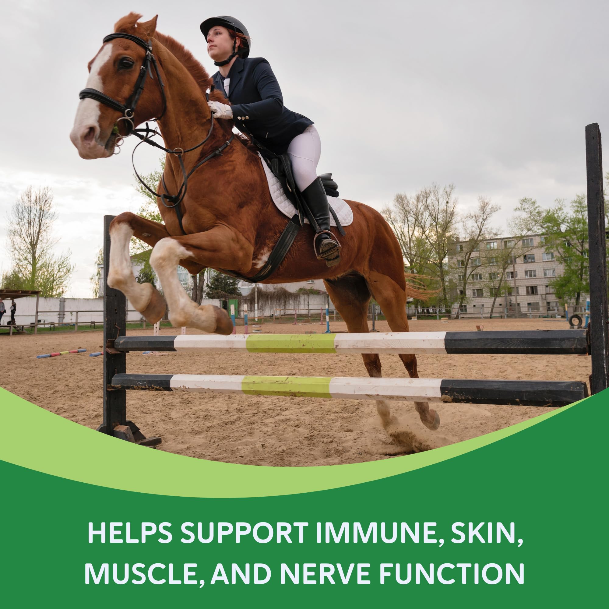 Health-E muscles pour chevaux – poudre aidant au maintien musculaire pendant le travail.