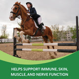 Health-E muscles pour chevaux – poudre aidant au maintien musculaire pendant le travail.