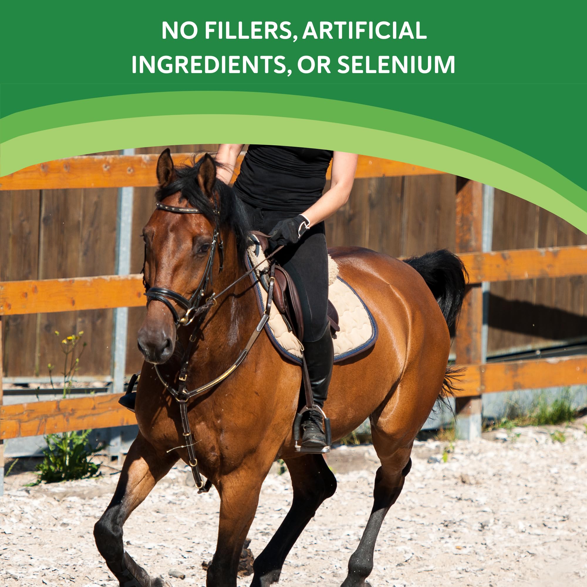 Health-E système nerveux pour chevaux – poudre soutien potentiel des fonctions nerveuses.