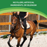 Health-E système nerveux pour chevaux – poudre soutien potentiel des fonctions nerveuses.