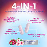 Fleurs d'hibiscus Health Nutrition Naturals apportant couleur et potentiel antioxydant.