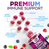 Health Nutrition Naturals gommes zinc 50 mg dosage quotidien pratique