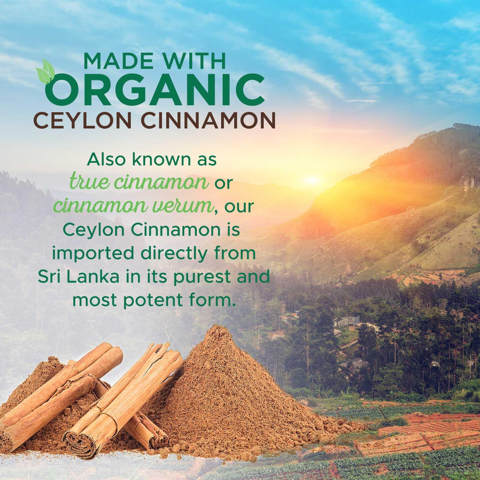 Health Nutrition Naturals Cannelle de Ceylan origine Sri Lanka