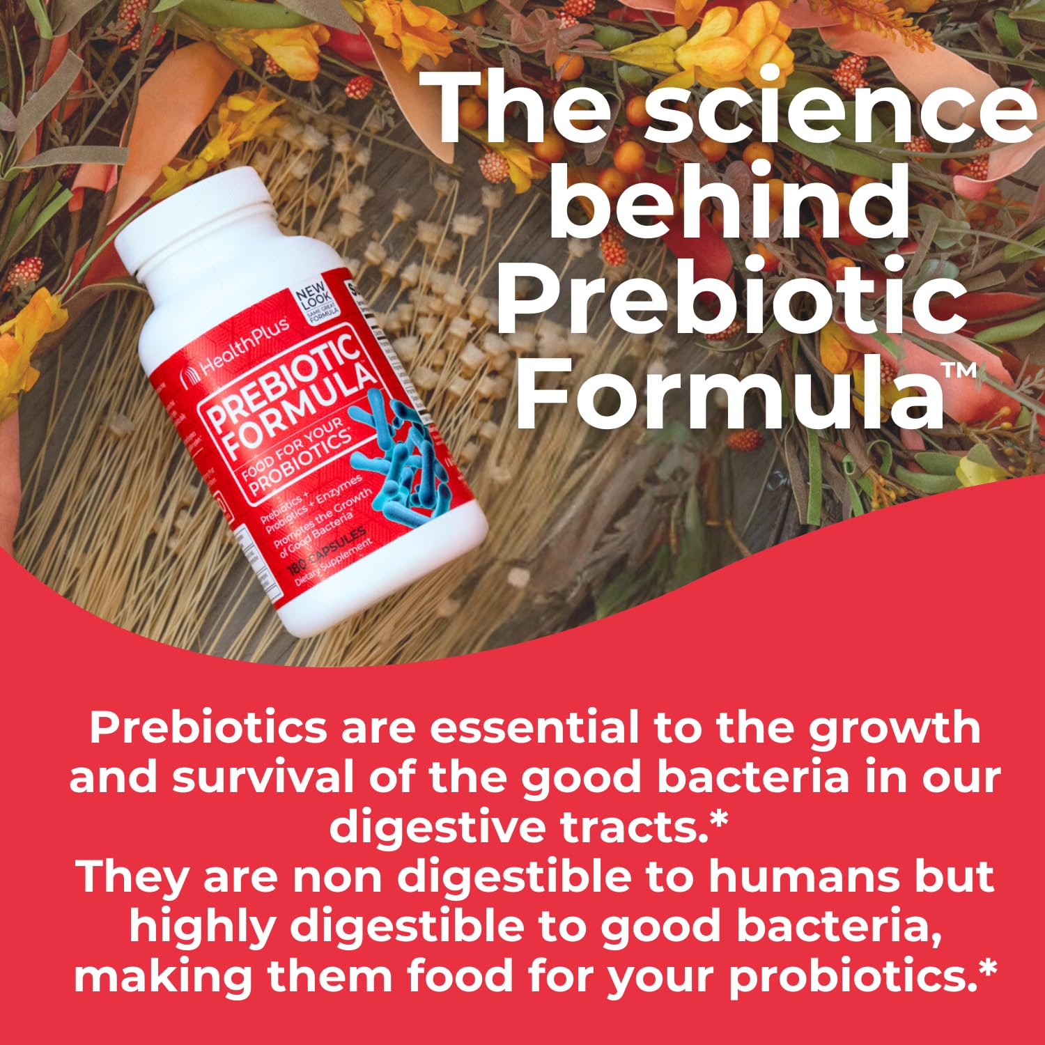 Health Plus Prebiotique Formule - Dosage quotidien simple, ideal pour votre routine
