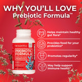 Health Plus Prebiotique Formule - Ingrédients visibles, mélange naturel d'inuline et enzymes digestives