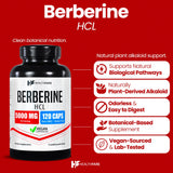 Healthfare Berberine HCL 5000 mg – capsules végétales faciles à avaler et à doser.