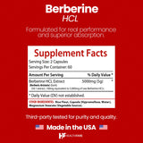 Healthfare Berberine HCL 5000 mg – extrait pur sans mélanges pour une pureté ciblée.