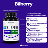 Extrait concentré HealthFare Bilberry en flacon, concentration élevée pour l'apport quotidien.