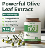 Healths Harmony bouteille-capsules-feuille-olive : format pratique pour une prise quotidienne.
