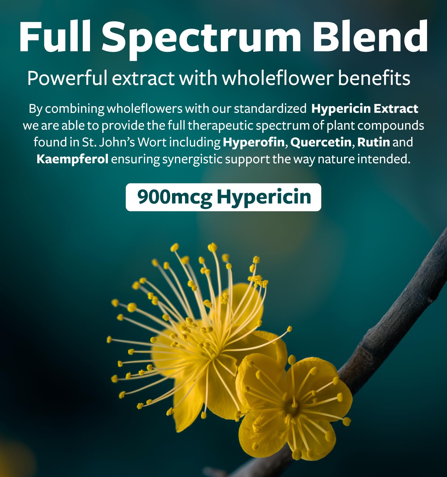 Healths Harmony capsules Saint John's Wort: 0,3% d'hypericine pour l'efficacité potentielle.