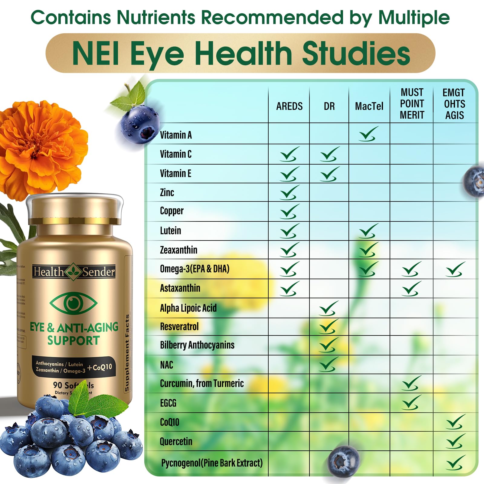 HealthSender extrait bilberry anthocyanines — Antioxydants soutenant la rétine et la vision.