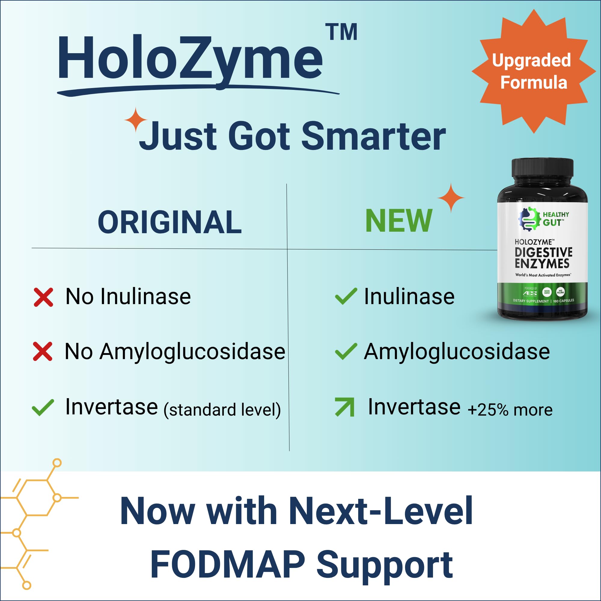 Healthy Gut HoloZyme Max - Emballage soigné et présentation professionnelle