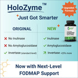 Healthy Gut HoloZyme Max - Emballage soigné et présentation professionnelle