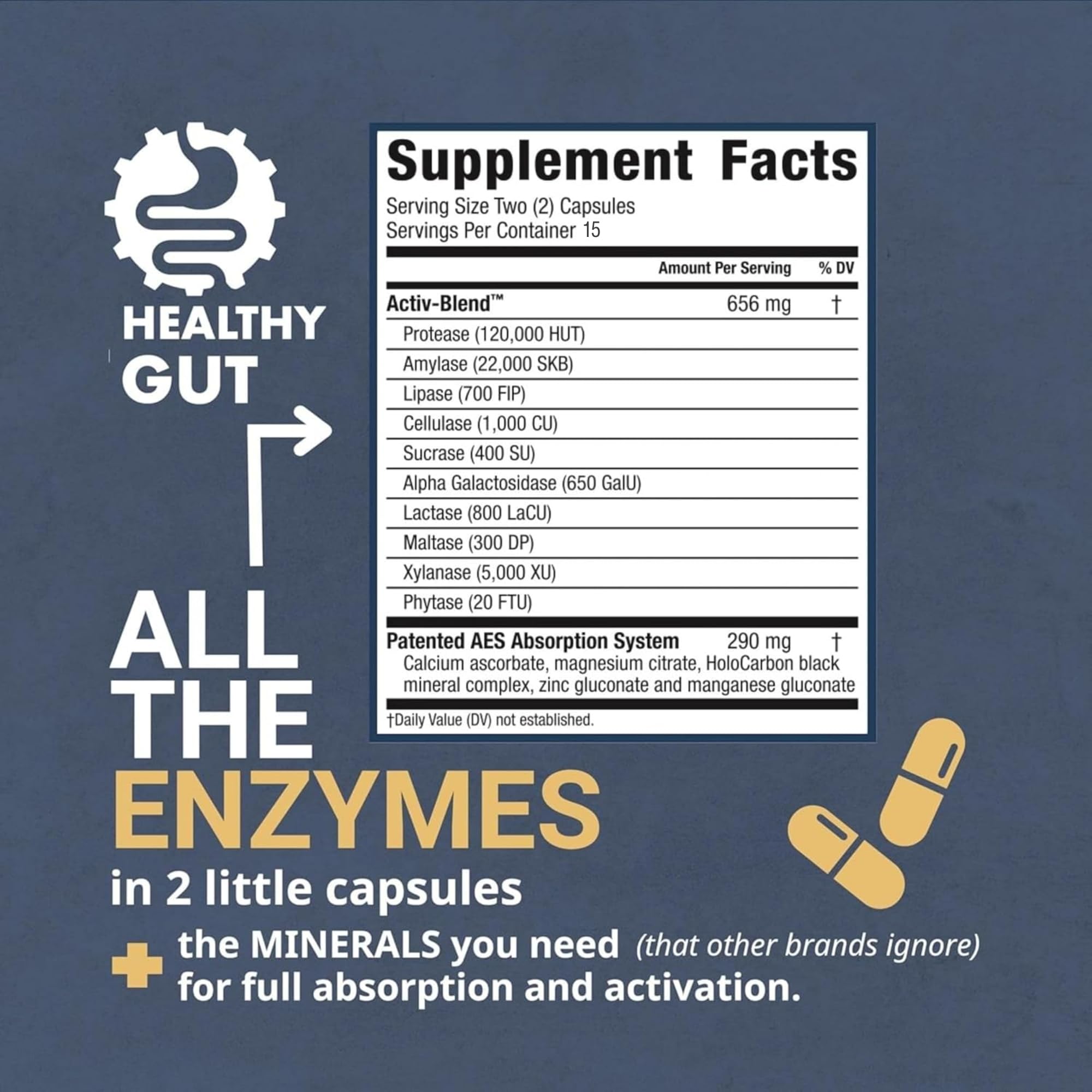 Healthy Gut HoloZyme Max etiquette, présente les enzymes clés pour une digestion plus fluide.