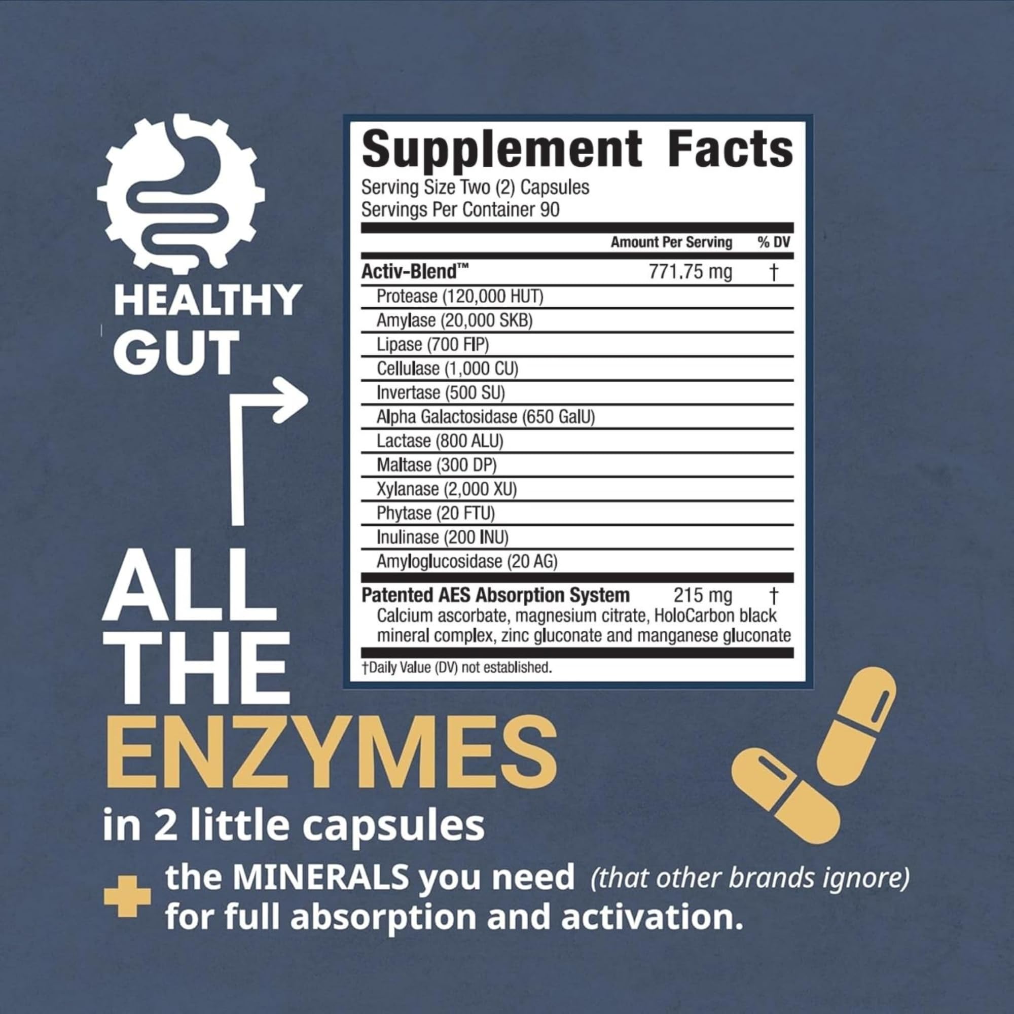 Healthy Gut HoloZyme Max - Étiquette en gros plan, informations claires et fiabilité