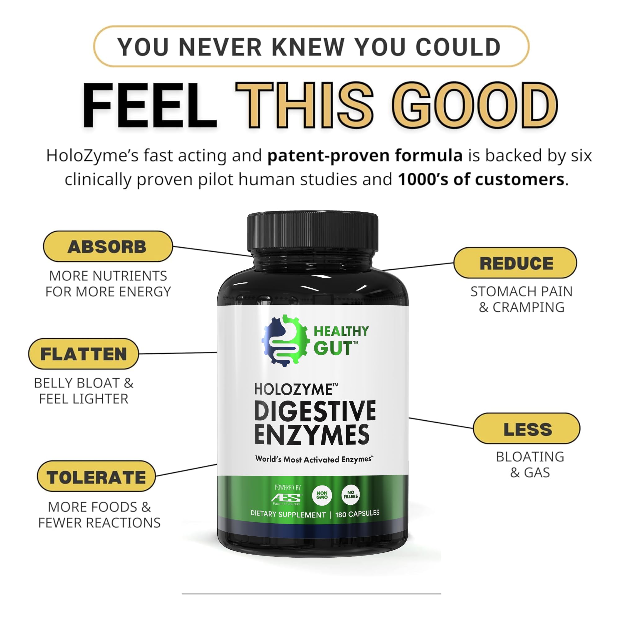 Healthy Gut HoloZyme Max - Liste d’ingrédients avec enzymes clés