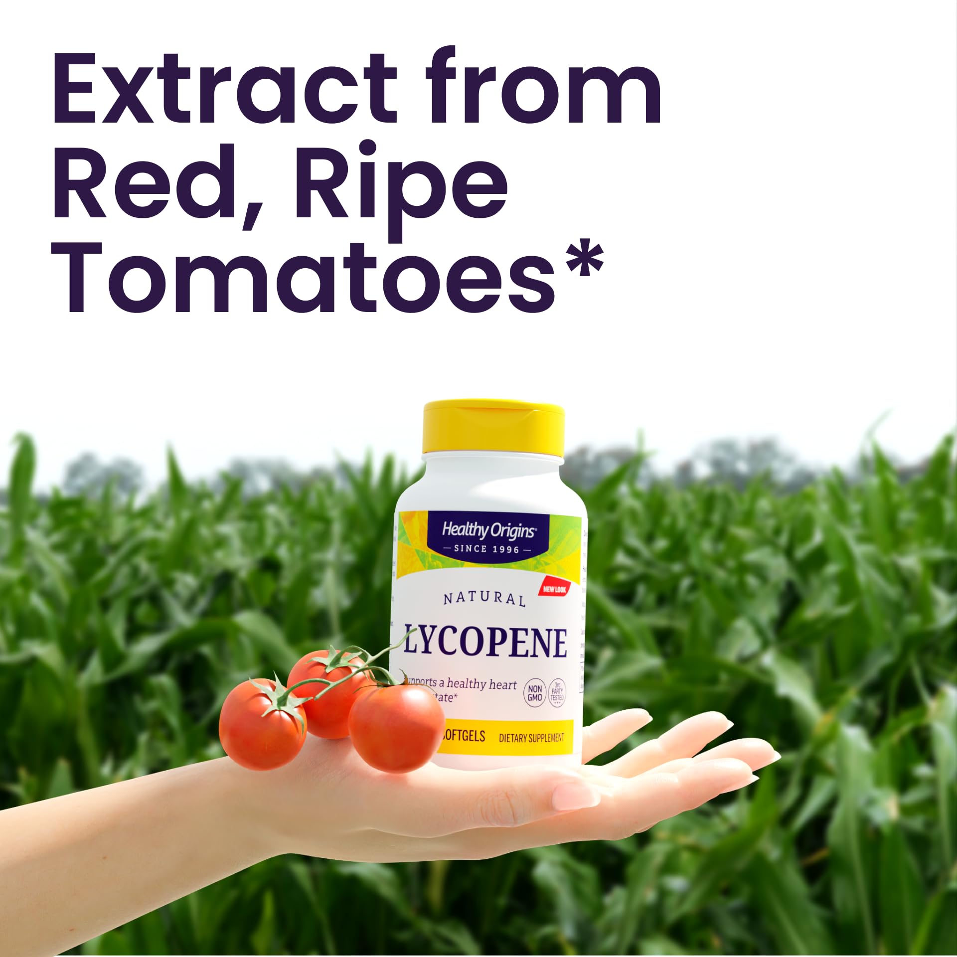 Healthy Origins Lycopène caroténoïdes – extraits naturels pour la protection cellulaire.