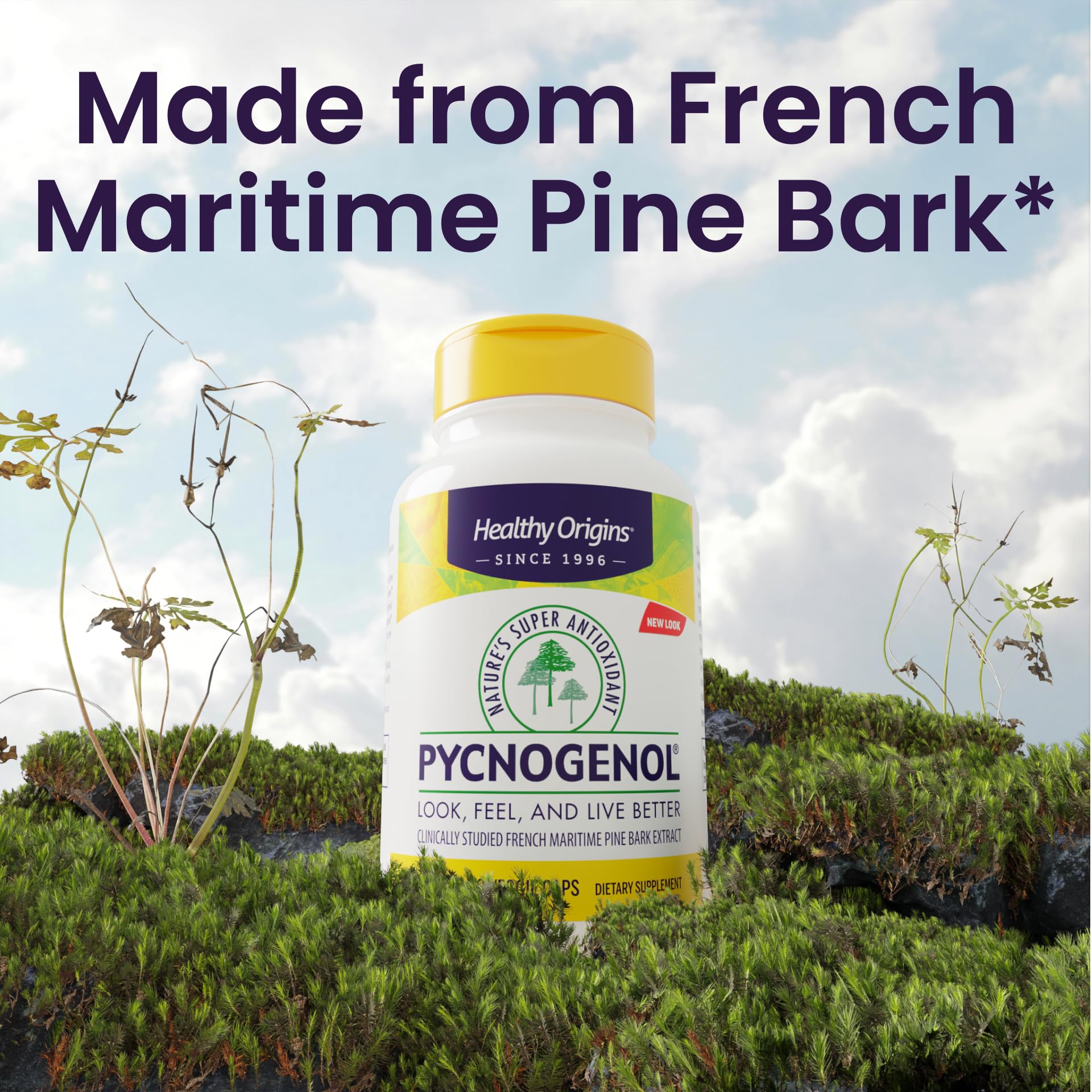 Étiquette Healthy Origins Pycnogenol: packaging avec logo et mentions qualité.